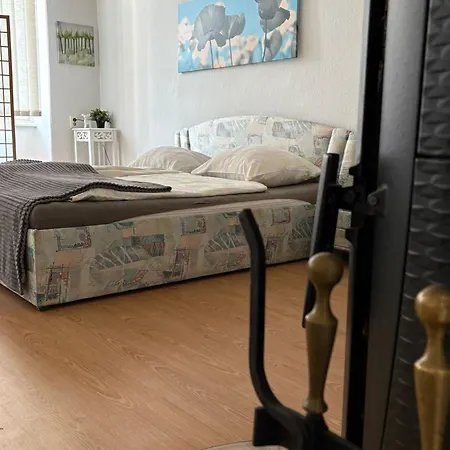 Nr 3 Grosszuegiges Kamin-zimmer Mit King-size Bett Im Zentrum Wlan Tv Gute Laune Ubytování v soukromí *